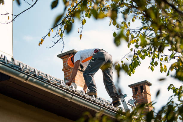 Best Storm Damage Roof Repair  in Highgrove, CA